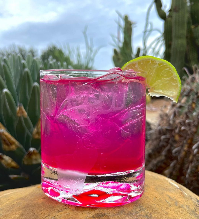 Prickly Pear Simple Syrup - Bulk Jug