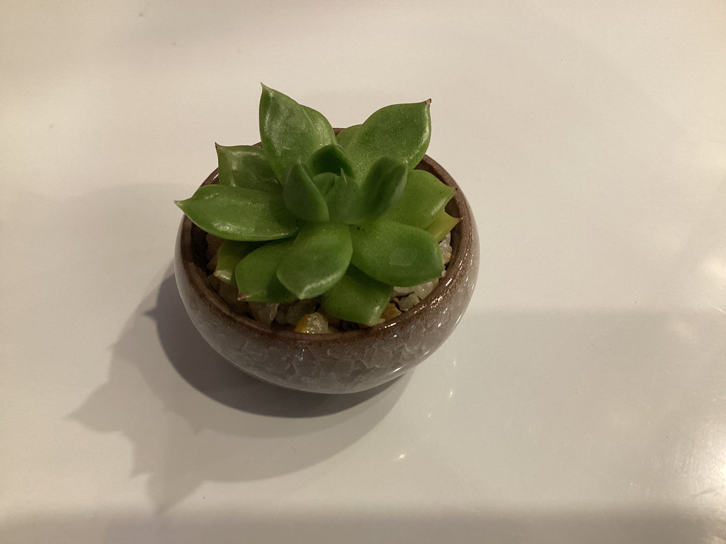 Small Succulent Planter, Rose Ceramic Pot) R589