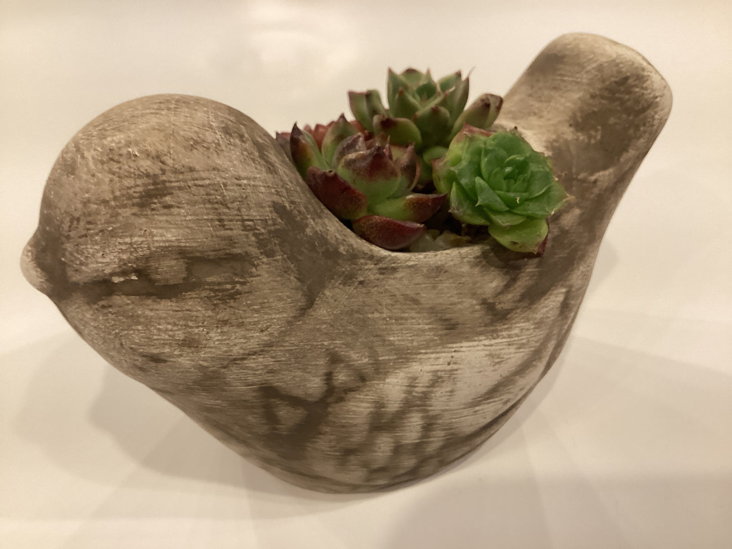 Succulent Bird Planter R589.