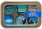 Bottlecap Magnets