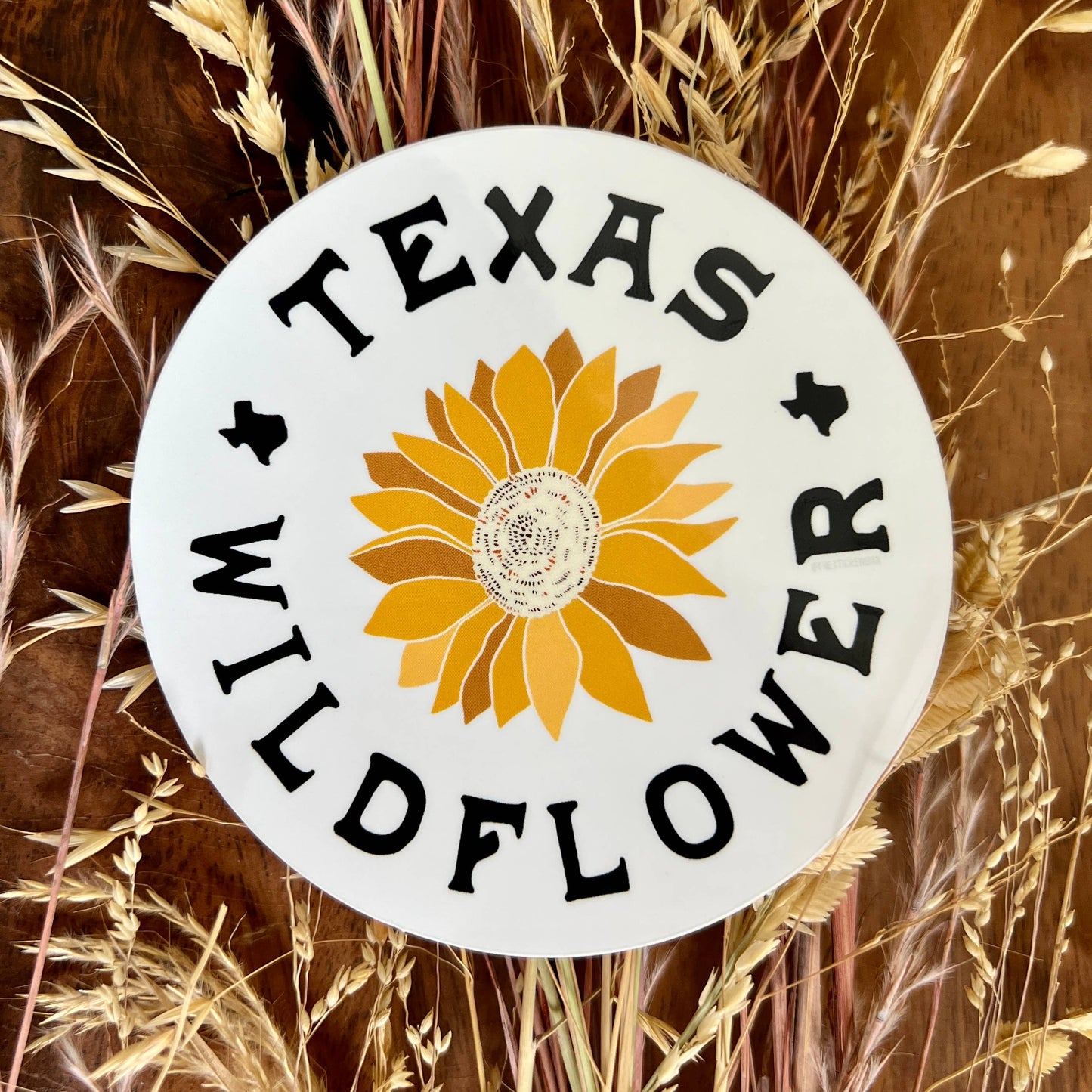 Texas Stickers Waterproof