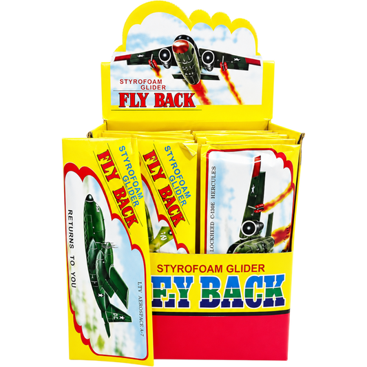 Fly Back Styrofoam Gliders