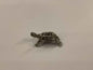 Brass Turtle