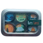 Bottlecap Magnets