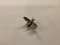 Brass Bee R589