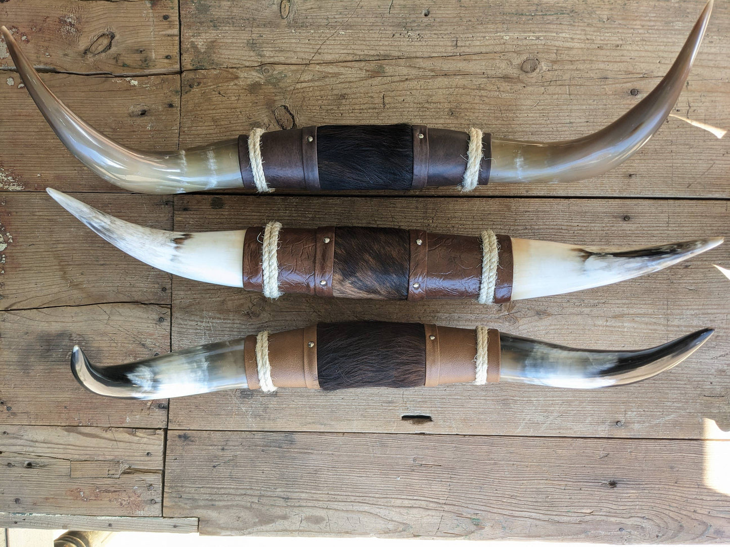 Mounted Cow Horns, 2 to 3 foot wide.
