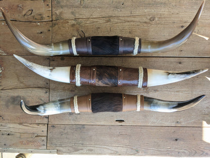 Mounted Cow Horns, 2 to 3 foot wide.