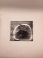 Circus of Life CD Music Collection Starring Kinky Friedman