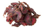 Biltong