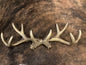 Gold Antler Wall Hanger