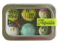 Bottlecap Magnets