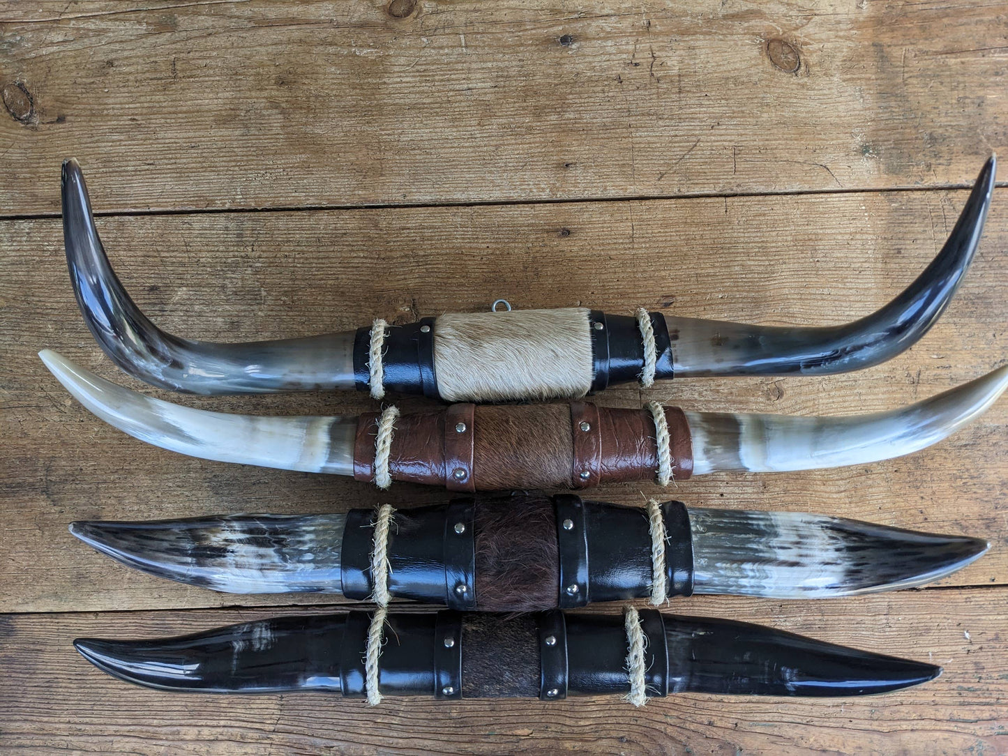 Mini mounted cow horns