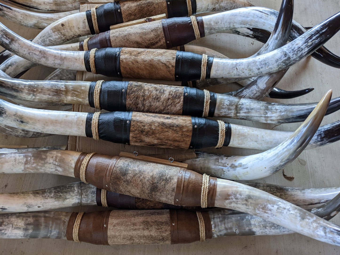 Extra large Steer horns, 6-7 footers-Some assembly required